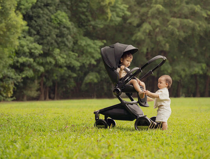 <h2><span style="text-decoration:underline">Full-Size Strollers</span></h2>